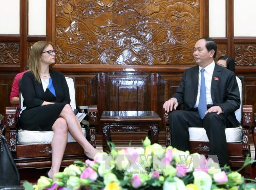 Chủ tịch nước Trần Đại Quang tiếp Đại sứ Israel chào xã giao